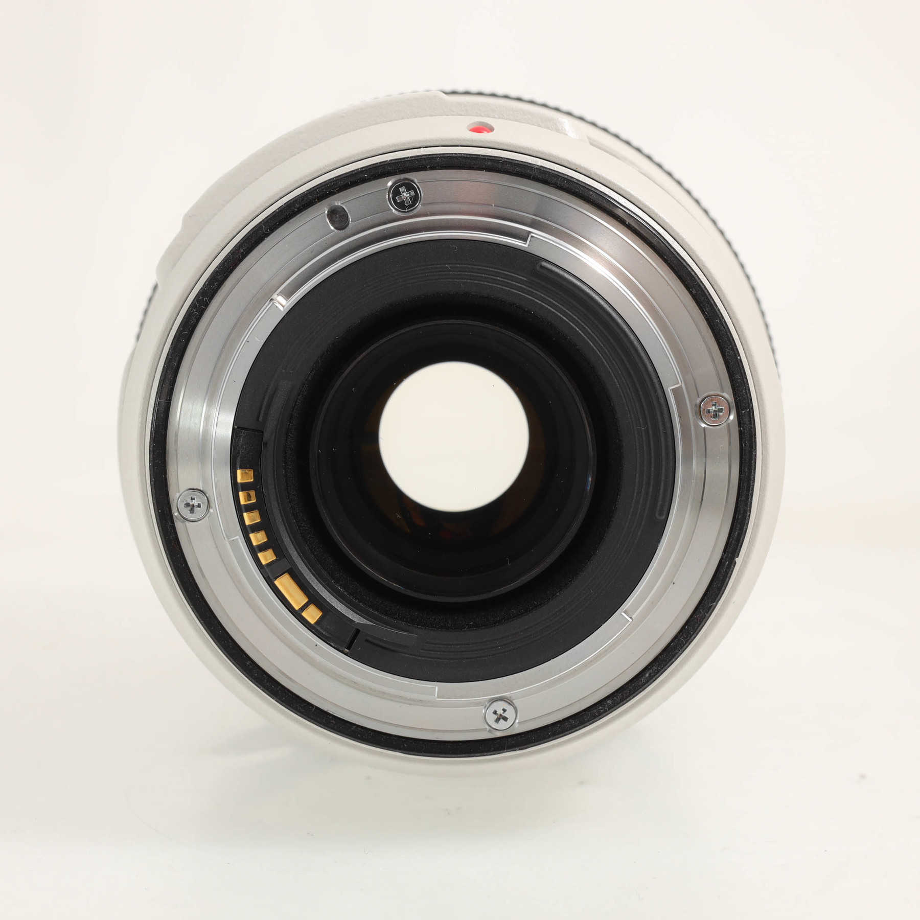 Canon EF 70-300mm f/4-5.6 L IS USM Canon EF 70-300mm f/4-5.6 L IS USM