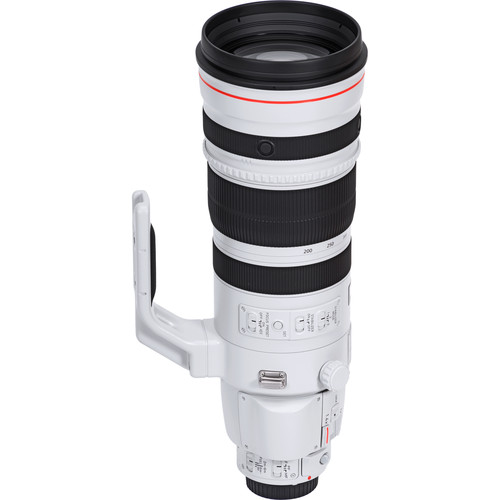 Canon EF 200-400mm f/4L IS USM Extender 1.4x