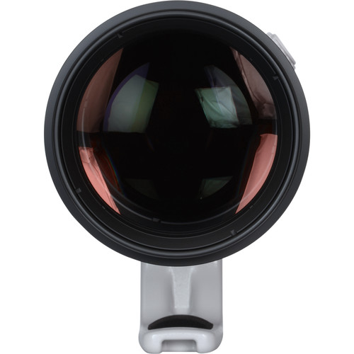 Canon EF 200-400mm f/4L IS USM Extender 1.4x