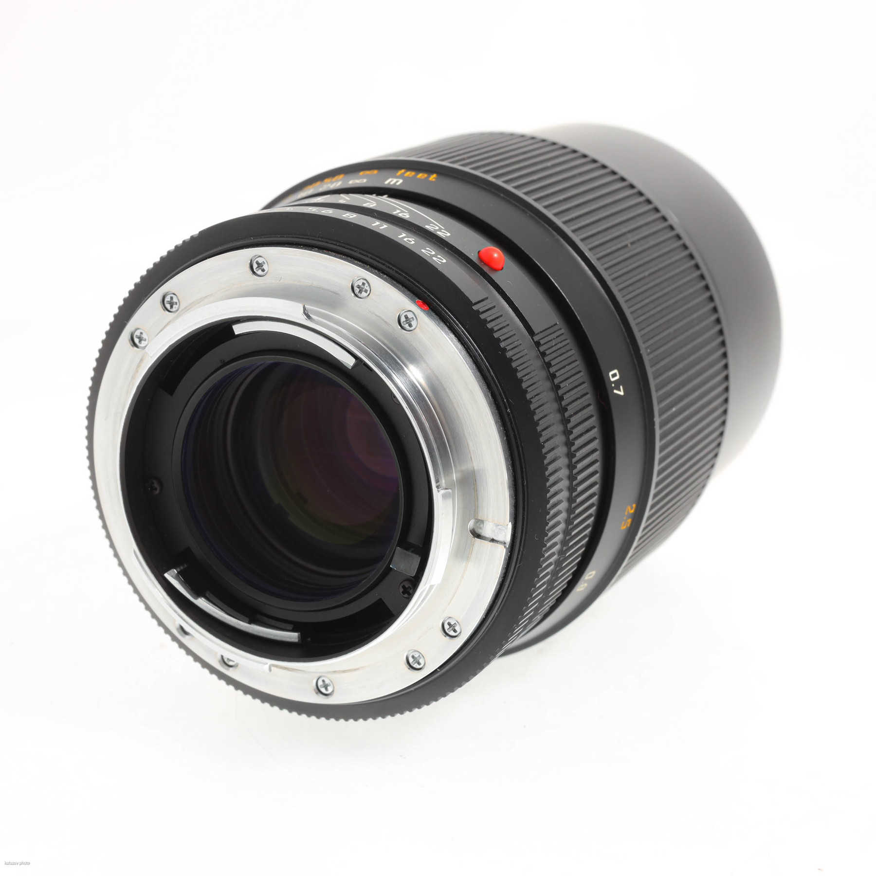 Leica Apo-Macro-Elmarit-R 100mm f/2.8 Leica Apo-Macro-Elmarit-R 100mm f/2.8