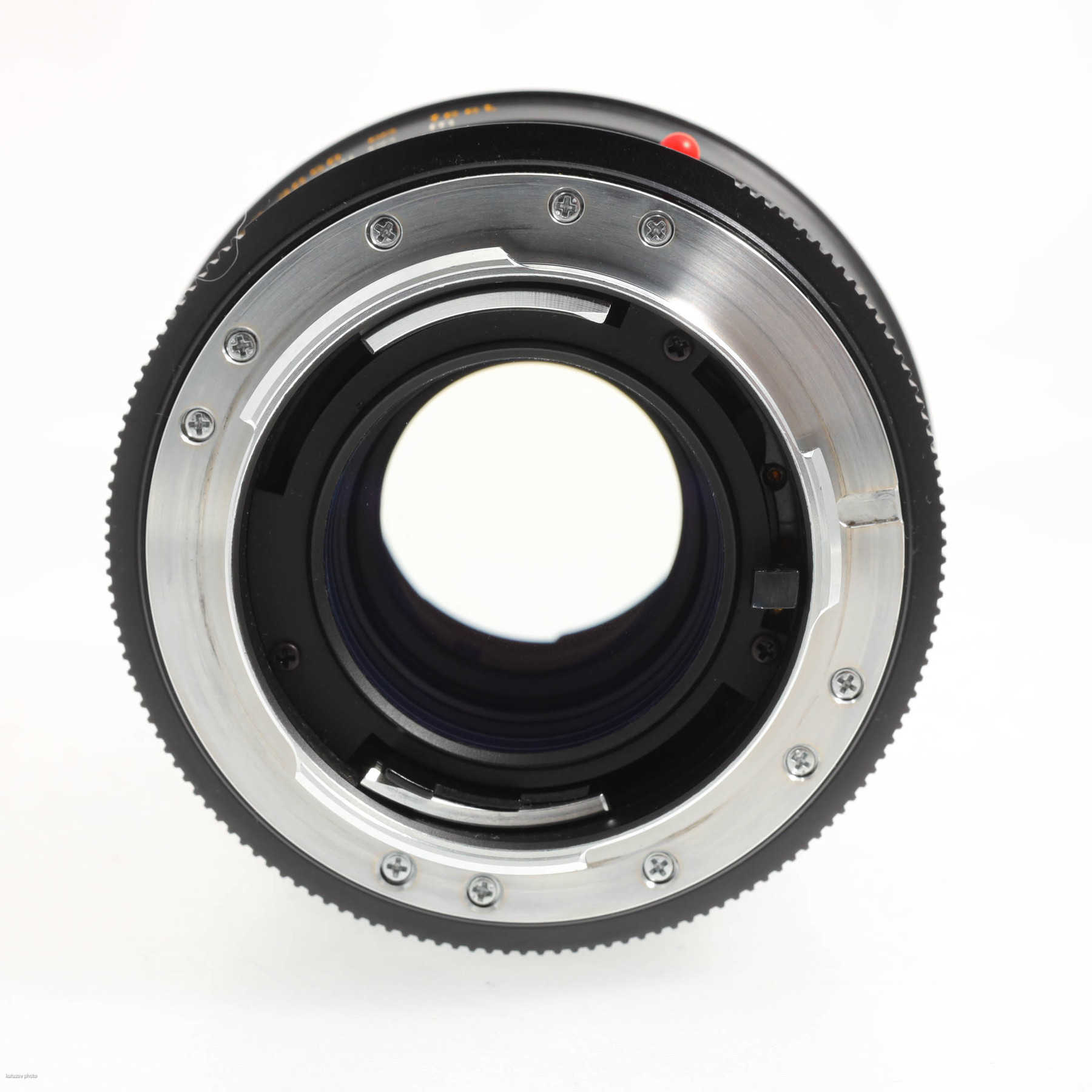 Leica Apo-Macro-Elmarit-R 100mm f/2.8 Leica Apo-Macro-Elmarit-R 100mm f/2.8